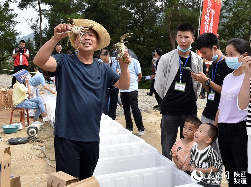 漢陰縣平梁鎮(zhèn)清河村村民胡小平推介大閘蟹。