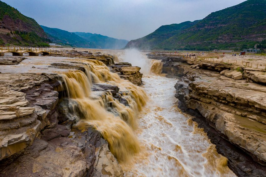 陜西壺口瀑布現(xiàn)“金瀑飛流”奇觀。黃河壺口瀑布旅游區(qū)供圖