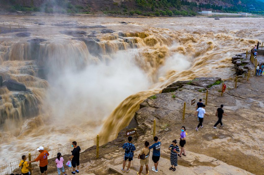 陜西壺口瀑布現(xiàn)“金瀑飛流”奇觀。黃河壺口瀑布旅游區(qū)供圖