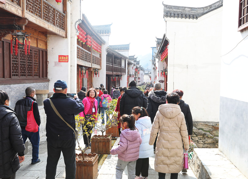 旅客們開啟探尋鎮(zhèn)安的春之旅。敬雨橋攝