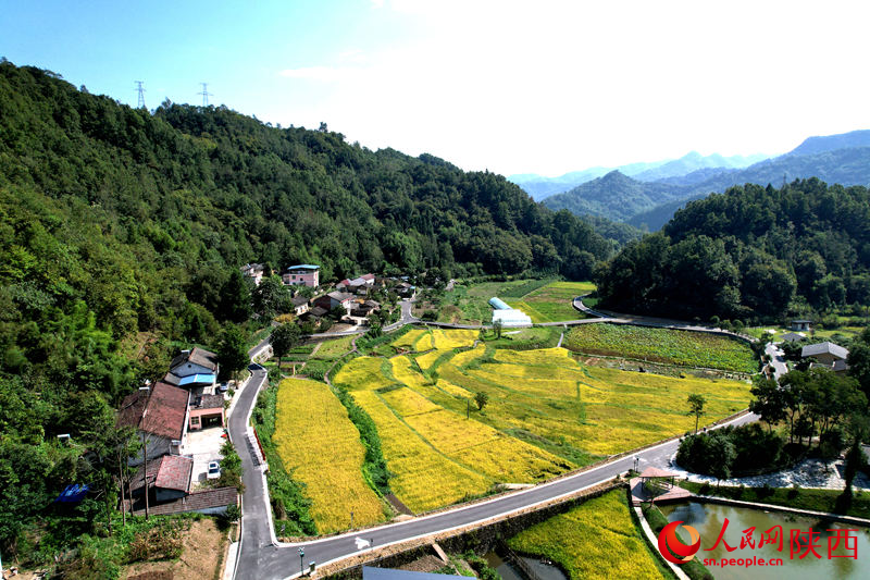 安康市石泉縣城關(guān)鎮(zhèn)絲銀壩村草池灣。人民網(wǎng)黨童 攝