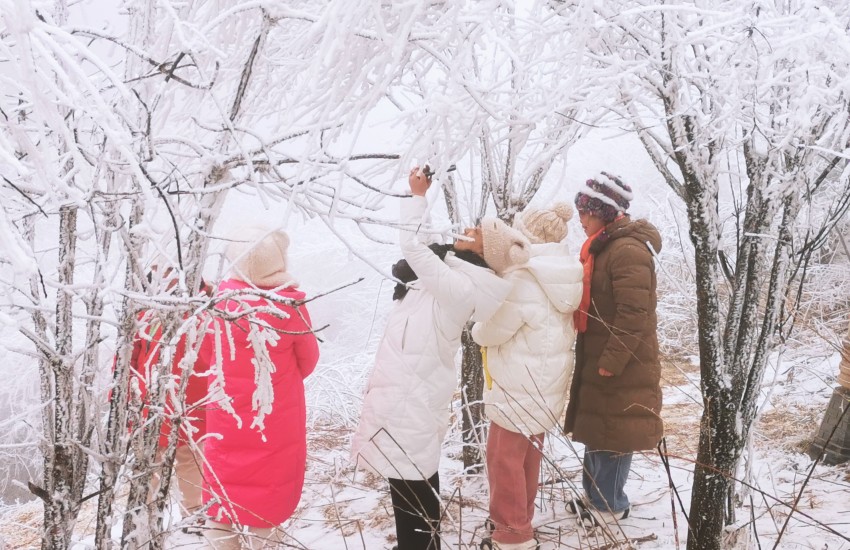 旅客們?cè)谇貛X賞雪，游玩，拍照留念。呂春輝攝