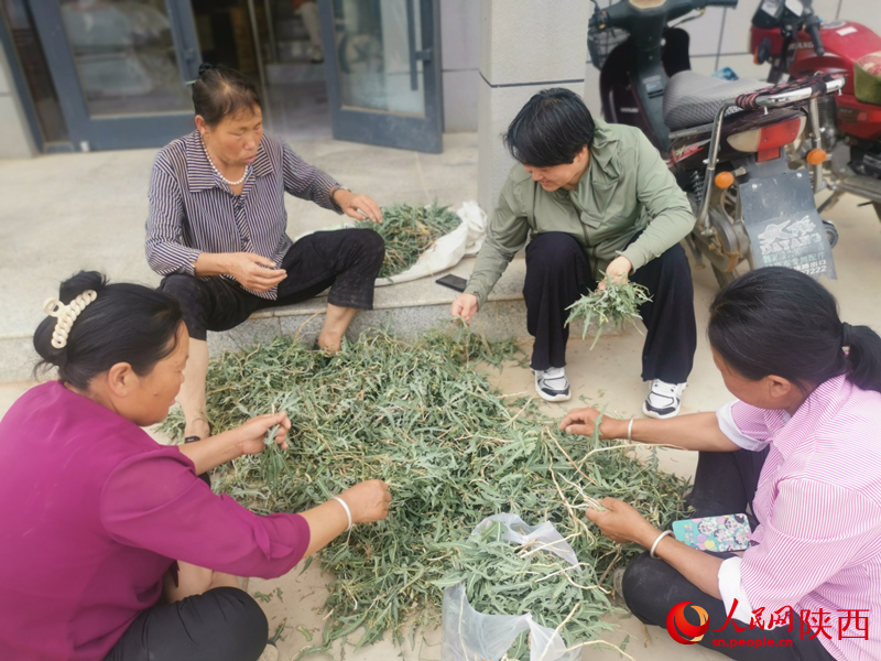 白秀葉（右二）在村委大院和村民們拉家常。人民網(wǎng) 王麗攝