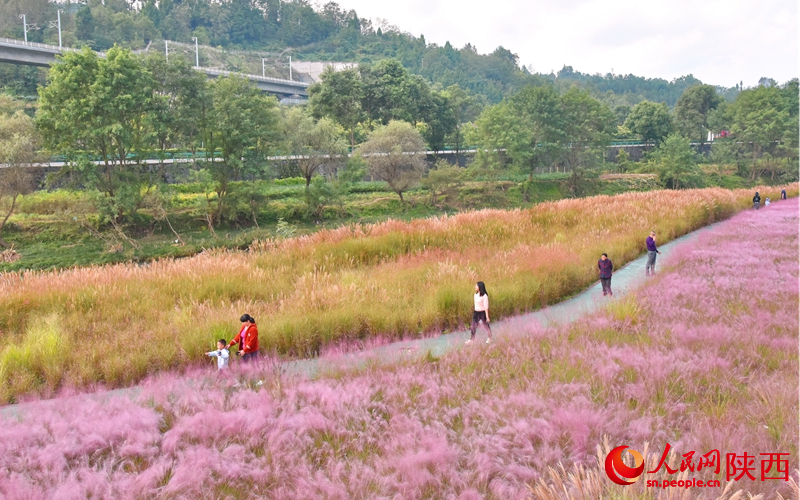 在漢江源頭玉帶河畔濕地公園游玩的游客。人民網(wǎng)記者 白鴿攝